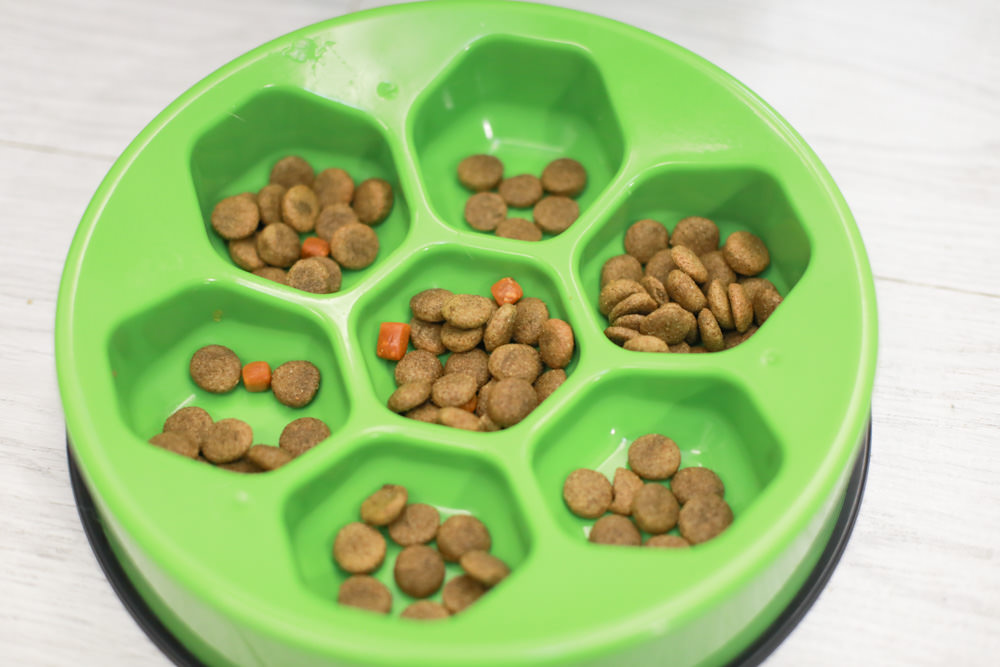 Nutrience紐崔斯CARE+系列 頂級無穀處方犬糧|WDJ+DFA雙認證、情緒安穩、皮膚及腸胃、口腔護理、體重控制 - 第12張圖 Nutrience紐崔斯CARE+系列 頂級無穀處方犬糧|WDJ+DFA雙認證、情緒安穩、皮膚及腸胃、口腔護理、體重控制