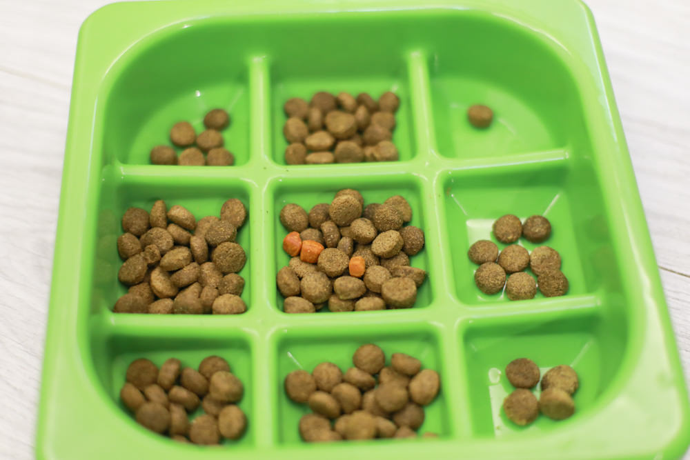 Nutrience紐崔斯CARE+系列 頂級無穀處方犬糧|WDJ+DFA雙認證、情緒安穩、皮膚及腸胃、口腔護理、體重控制 - 第17張圖 Nutrience紐崔斯CARE+系列 頂級無穀處方犬糧|WDJ+DFA雙認證、情緒安穩、皮膚及腸胃、口腔護理、體重控制