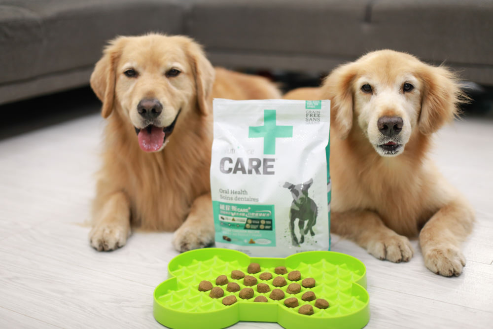 Nutrience紐崔斯CARE+系列 頂級無穀處方犬糧|WDJ+DFA雙認證、情緒安穩、皮膚及腸胃、口腔護理、體重控制 - 第19張圖 Nutrience紐崔斯CARE+系列 頂級無穀處方犬糧|WDJ+DFA雙認證、情緒安穩、皮膚及腸胃、口腔護理、體重控制