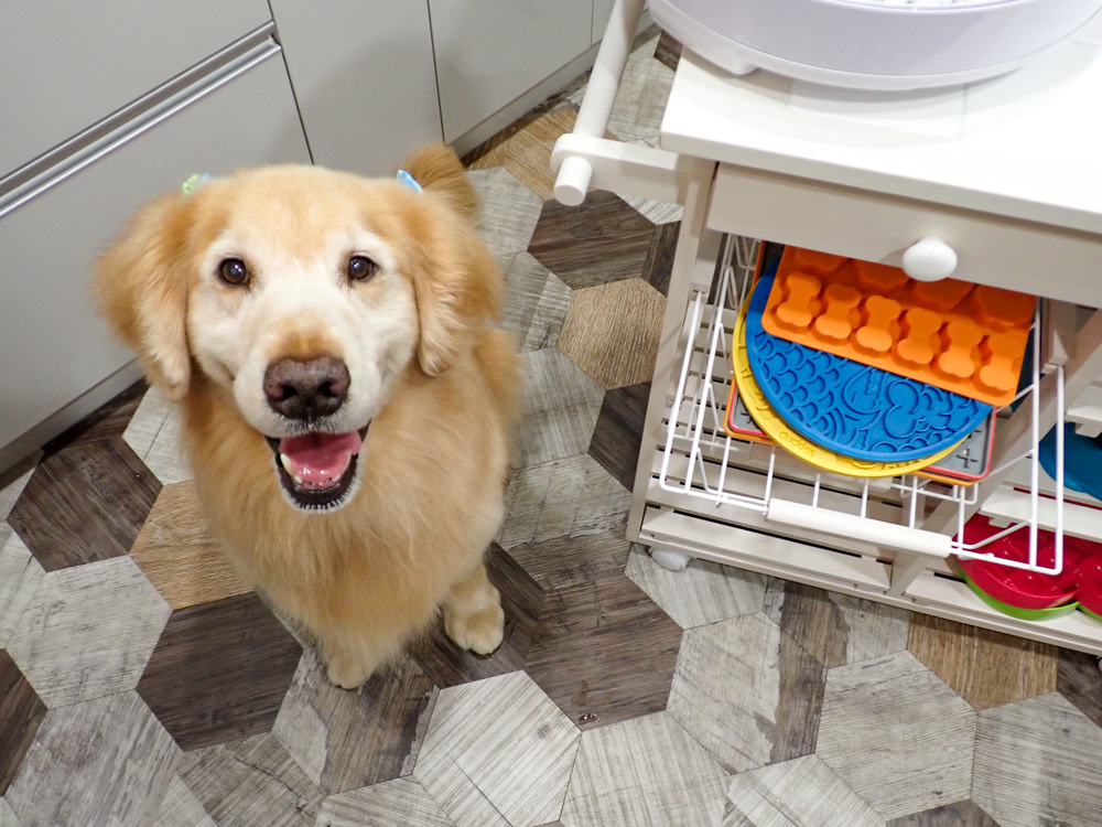 Full Living滿屋生活|日本ICHIBA行動餐車。日本主婦廚房救星、擁有收納功能、可移動的餐車中島 - 第12張圖 Full Living滿屋生活|日本ICHIBA行動餐車。日本主婦廚房救星、擁有收納功能、可移動的餐車中島