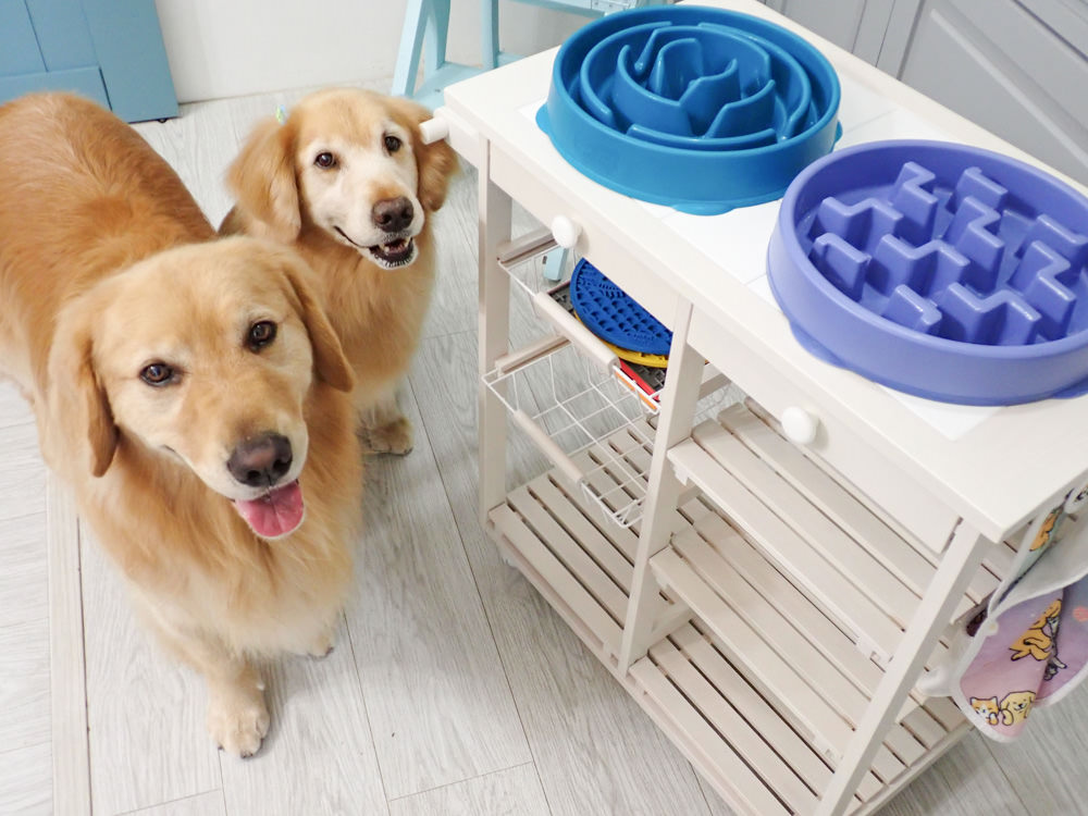 Full Living滿屋生活|日本ICHIBA行動餐車。日本主婦廚房救星、擁有收納功能、可移動的餐車中島 - 第20張圖 Full Living滿屋生活|日本ICHIBA行動餐車。日本主婦廚房救星、擁有收納功能、可移動的餐車中島