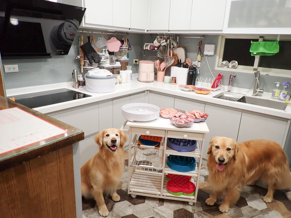 Full Living滿屋生活|日本ICHIBA行動餐車。日本主婦廚房救星、擁有收納功能、可移動的餐車中島 - 第19張圖 Full Living滿屋生活|日本ICHIBA行動餐車。日本主婦廚房救星、擁有收納功能、可移動的餐車中島