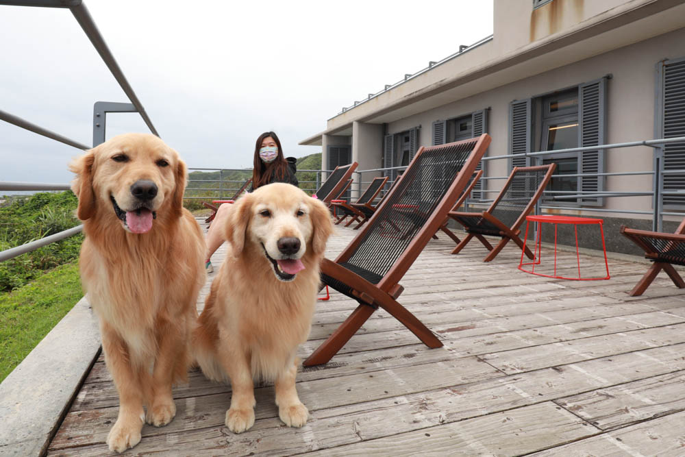 新北貢寮美食|馬崗哨所。東北角寵物友善餐廳、海巡哨所化身景觀咖啡廳、無敵海景、假日限定鮑魚魯肉飯 - 第10張圖 新北貢寮美食|馬崗哨所。東北角寵物友善餐廳、海巡哨所化身景觀咖啡廳、無敵海景、假日限定鮑魚魯肉飯