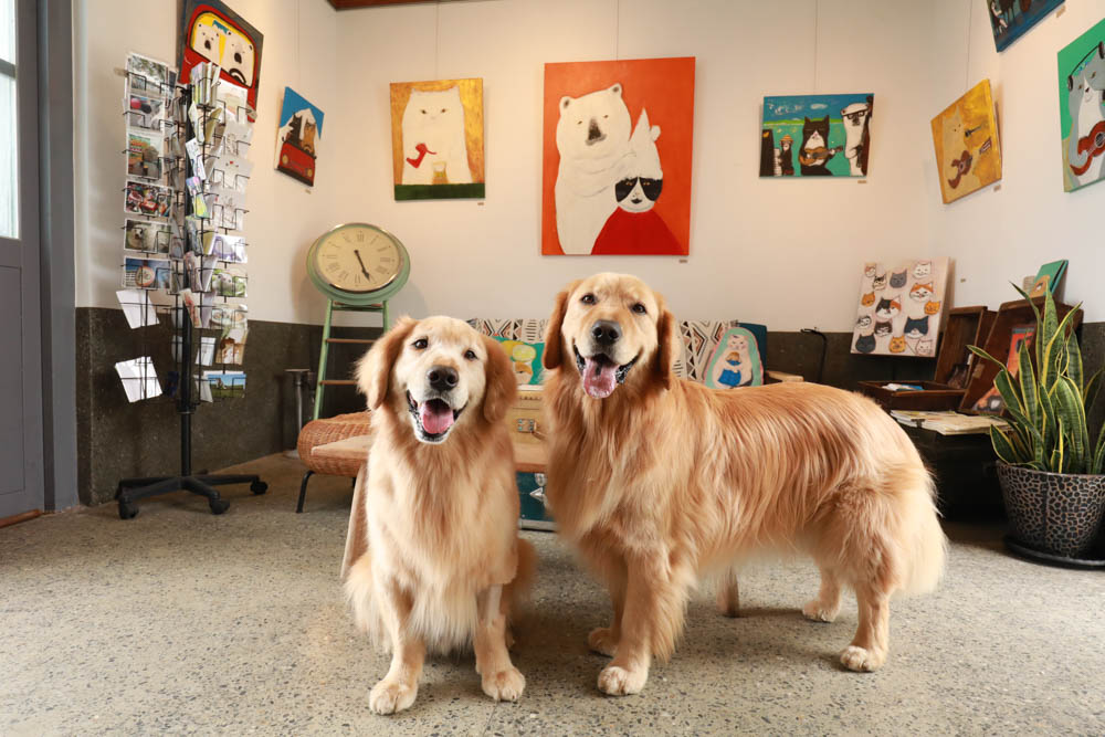 新北貢寮美食|馬崗哨所。東北角寵物友善餐廳、海巡哨所化身景觀咖啡廳、無敵海景、假日限定鮑魚魯肉飯 - 第5張圖 新北貢寮美食|馬崗哨所。東北角寵物友善餐廳、海巡哨所化身景觀咖啡廳、無敵海景、假日限定鮑魚魯肉飯