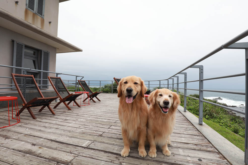 新北貢寮美食|馬崗哨所。東北角寵物友善餐廳、海巡哨所化身景觀咖啡廳、無敵海景、假日限定鮑魚魯肉飯 - 第8張圖 新北貢寮美食|馬崗哨所。東北角寵物友善餐廳、海巡哨所化身景觀咖啡廳、無敵海景、假日限定鮑魚魯肉飯