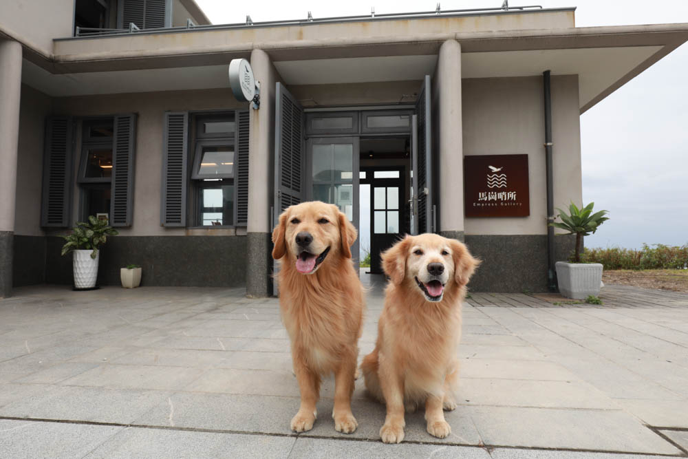 新北貢寮美食|馬崗哨所。東北角寵物友善餐廳、海巡哨所化身景觀咖啡廳、無敵海景、假日限定鮑魚魯肉飯 - 第20張圖 新北貢寮美食|馬崗哨所。東北角寵物友善餐廳、海巡哨所化身景觀咖啡廳、無敵海景、假日限定鮑魚魯肉飯