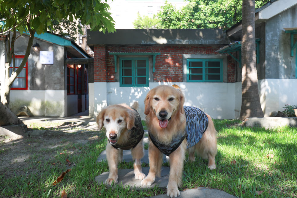 桃園包棟民宿｜馬村隱園民宿。台灣第一間眷村民宿、寵物友善民宿、馬祖新村、龍岡魅力金三角