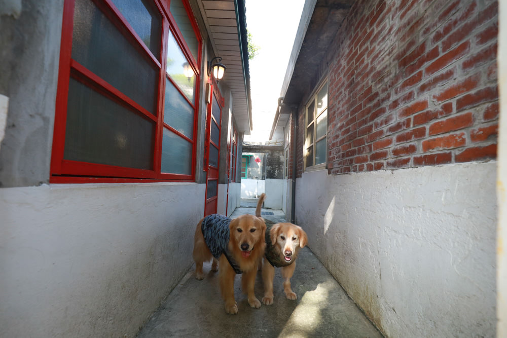 桃園包棟民宿｜馬村隱園民宿。台灣第一間眷村民宿、寵物友善民宿、馬祖新村、龍岡魅力金三角