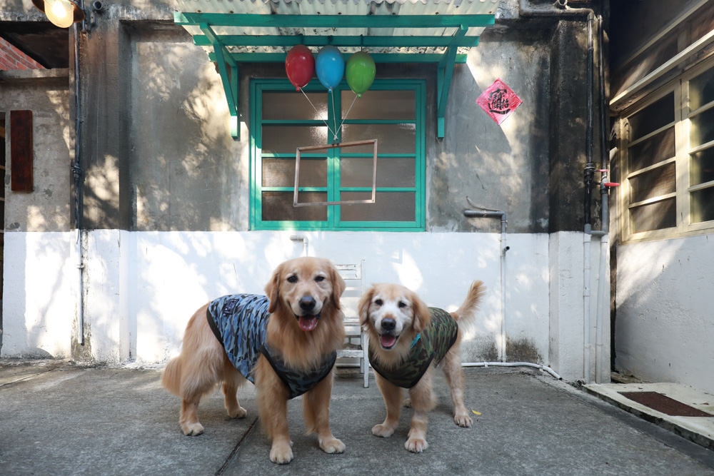 桃園包棟民宿｜馬村隱園民宿。台灣第一間眷村民宿、寵物友善民宿、馬祖新村、龍岡魅力金三角