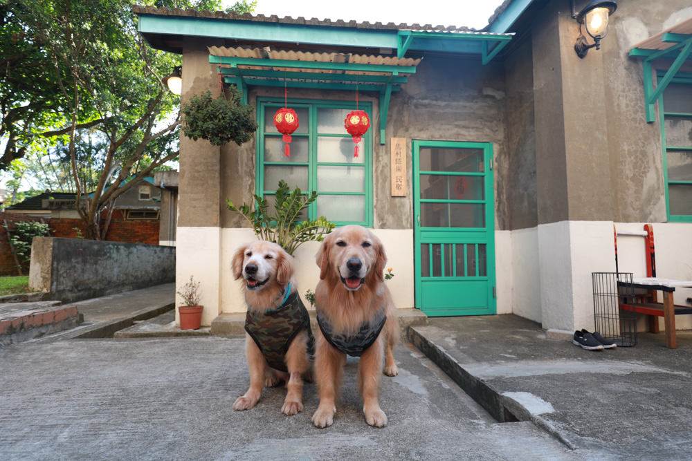 桃園包棟民宿｜馬村隱園民宿。台灣第一間眷村民宿、寵物友善民宿、馬祖新村、龍岡魅力金三角