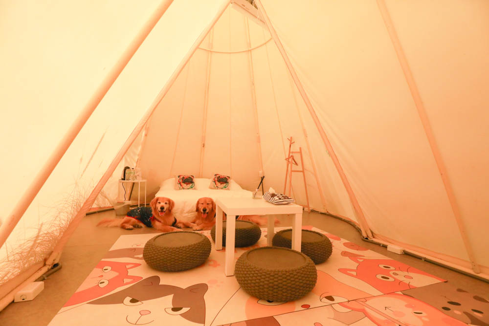 花蓮懶人露營|高巢休閒農場。寵物友善、一泊二食免裝備豪華露營、必玩超刺激沙灘車 - 第7張圖 花蓮懶人露營|高巢休閒農場。寵物友善、一泊二食免裝備豪華露營、必玩超刺激沙灘車