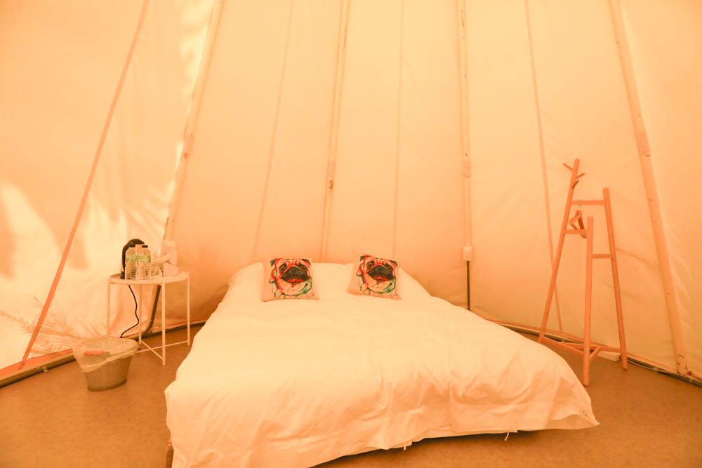 花蓮懶人露營|高巢休閒農場。寵物友善、一泊二食免裝備豪華露營、必玩超刺激沙灘車 - 第10張圖 花蓮懶人露營|高巢休閒農場。寵物友善、一泊二食免裝備豪華露營、必玩超刺激沙灘車