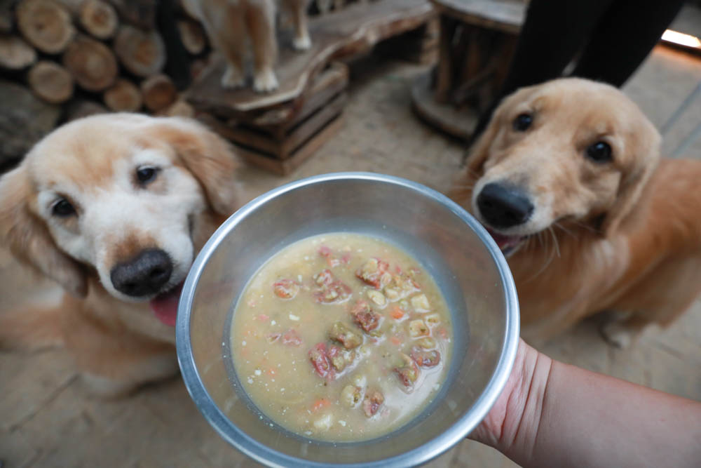 心頭肉寵物鮮食包｜心安包狗狗鮮食包。即開即食常溫保存、天然新鮮肉塊看得見！紮實份量、豐富美味