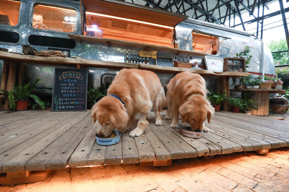 心頭肉寵物鮮食包｜心安包狗狗鮮食包。即開即食常溫保存、天然新鮮肉塊看得見！紮實份量、豐富美味