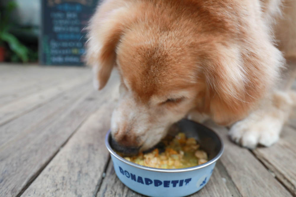 心頭肉寵物鮮食包｜心安包狗狗鮮食包。即開即食常溫保存、天然新鮮肉塊看得見！紮實份量、豐富美味