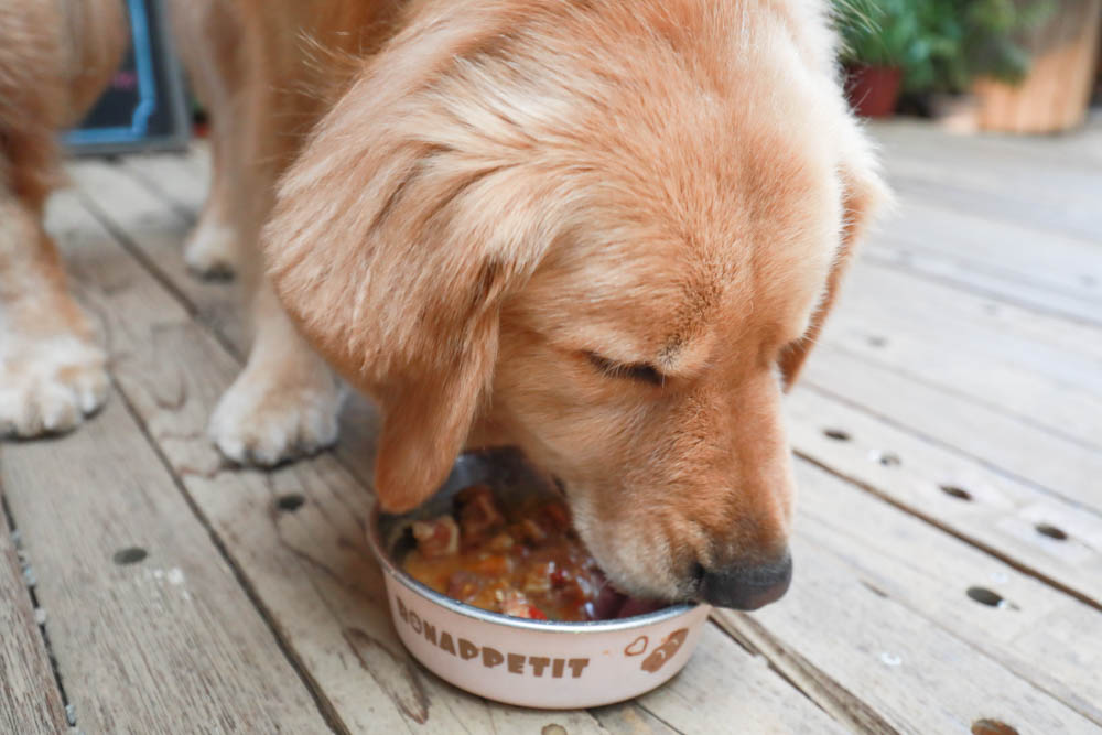心頭肉寵物鮮食包｜心安包狗狗鮮食包。即開即食常溫保存、天然新鮮肉塊看得見！紮實份量、豐富美味
