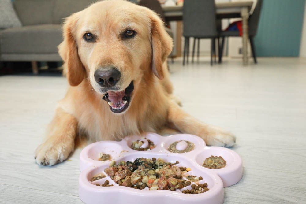 心頭肉寵物鮮食包｜心安包狗狗鮮食包。即開即食常溫保存、天然新鮮肉塊看得見！紮實份量、豐富美味