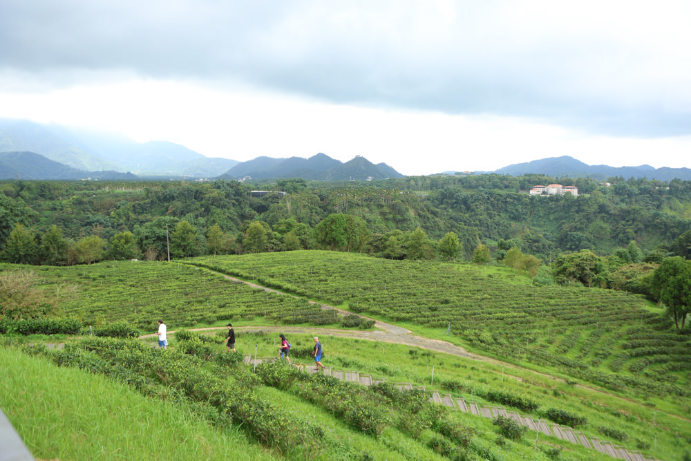 南投魚池景點|鹿篙咖啡莊園。隱密山林茶園間的絕美景觀咖啡廳、寵物友善、日月潭私房景點 - 第10張圖 南投魚池景點|鹿篙咖啡莊園。隱密山林茶園間的絕美景觀咖啡廳、寵物友善、日月潭私房景點