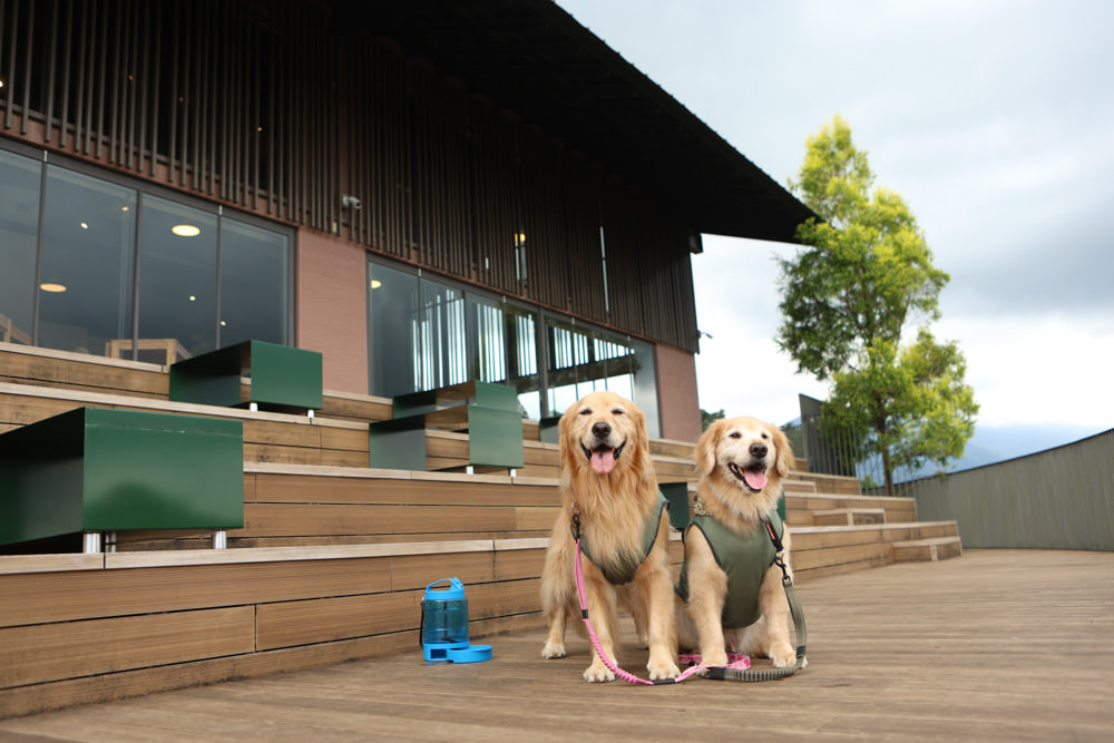 南投魚池景點|鹿篙咖啡莊園。隱密山林茶園間的絕美景觀咖啡廳、寵物友善、日月潭私房景點 - 第11張圖 南投魚池景點|鹿篙咖啡莊園。隱密山林茶園間的絕美景觀咖啡廳、寵物友善、日月潭私房景點