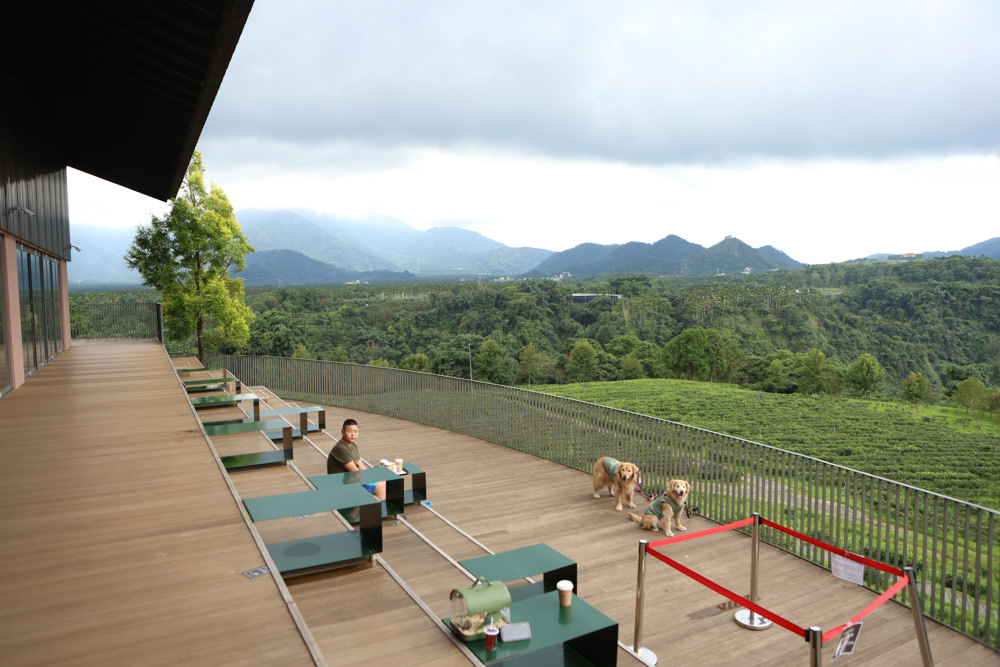 南投魚池景點|鹿篙咖啡莊園。隱密山林茶園間的絕美景觀咖啡廳、寵物友善、日月潭私房景點 - 第13張圖 南投魚池景點|鹿篙咖啡莊園。隱密山林茶園間的絕美景觀咖啡廳、寵物友善、日月潭私房景點