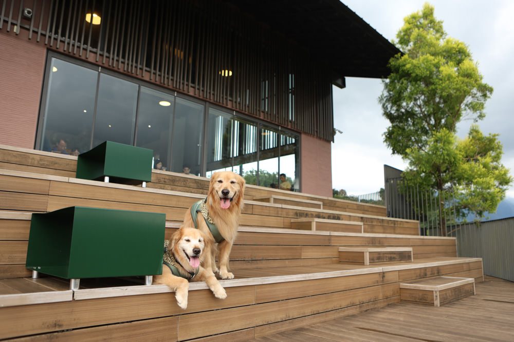 南投魚池景點|鹿篙咖啡莊園。隱密山林茶園間的絕美景觀咖啡廳、寵物友善、日月潭私房景點 - 第14張圖 南投魚池景點|鹿篙咖啡莊園。隱密山林茶園間的絕美景觀咖啡廳、寵物友善、日月潭私房景點