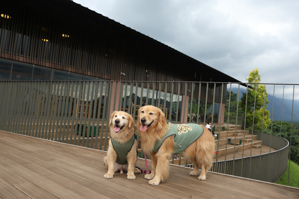 南投魚池景點|鹿篙咖啡莊園。隱密山林茶園間的絕美景觀咖啡廳、寵物友善、日月潭私房景點 - 第9張圖 南投魚池景點|鹿篙咖啡莊園。隱密山林茶園間的絕美景觀咖啡廳、寵物友善、日月潭私房景點