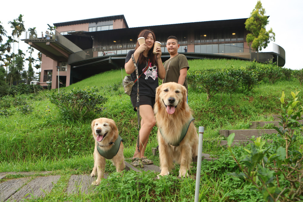 南投魚池景點|鹿篙咖啡莊園。隱密山林茶園間的絕美景觀咖啡廳、寵物友善、日月潭私房景點 - 第23張圖 南投魚池景點|鹿篙咖啡莊園。隱密山林茶園間的絕美景觀咖啡廳、寵物友善、日月潭私房景點