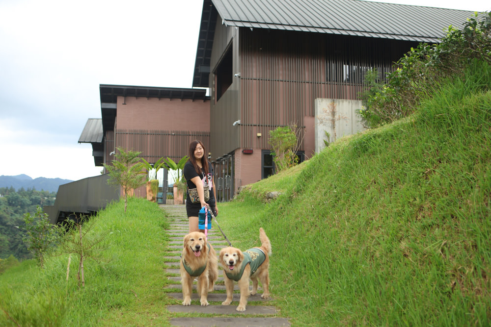 南投魚池景點|鹿篙咖啡莊園。隱密山林茶園間的絕美景觀咖啡廳、寵物友善、日月潭私房景點 - 第4張圖 南投魚池景點|鹿篙咖啡莊園。隱密山林茶園間的絕美景觀咖啡廳、寵物友善、日月潭私房景點