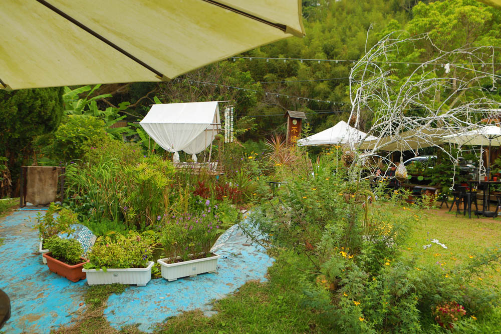 苗栗三義美食｜鹿角CAFE。森林系咖啡廳、苗栗寵物友善餐廳、多肉植物公車巴士咖啡廳、溜滑梯沙坑