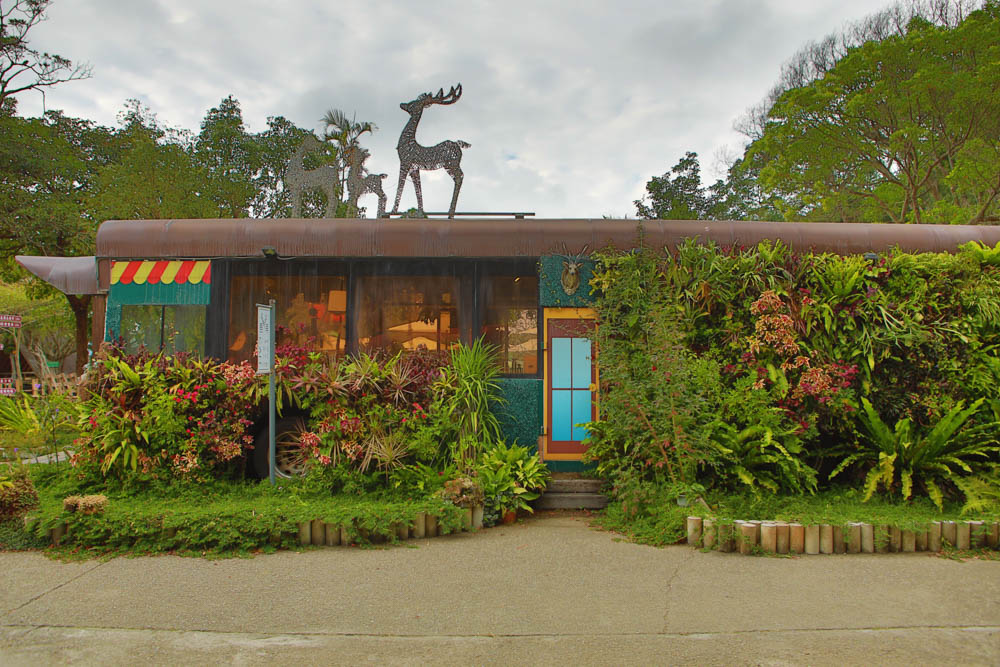 苗栗三義美食｜鹿角CAFE。森林系咖啡廳、苗栗寵物友善餐廳、多肉植物公車巴士咖啡廳、溜滑梯沙坑