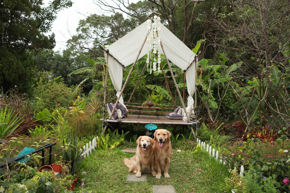 苗栗三義美食｜鹿角CAFE。森林系咖啡廳、苗栗寵物友善餐廳、多肉植物公車巴士咖啡廳、溜滑梯沙坑