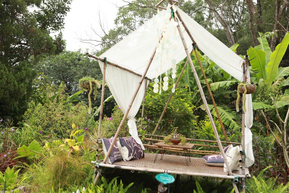 苗栗三義美食｜鹿角CAFE。森林系咖啡廳、苗栗寵物友善餐廳、多肉植物公車巴士咖啡廳、溜滑梯沙坑