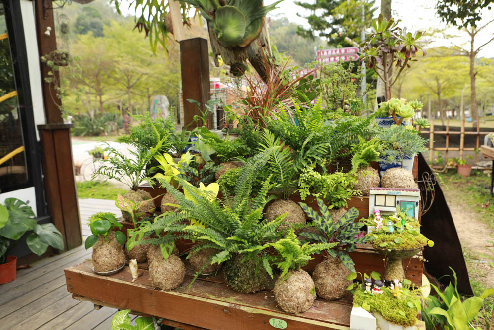 苗栗三義美食｜鹿角CAFE。森林系咖啡廳、苗栗寵物友善餐廳、多肉植物公車巴士咖啡廳、溜滑梯沙坑