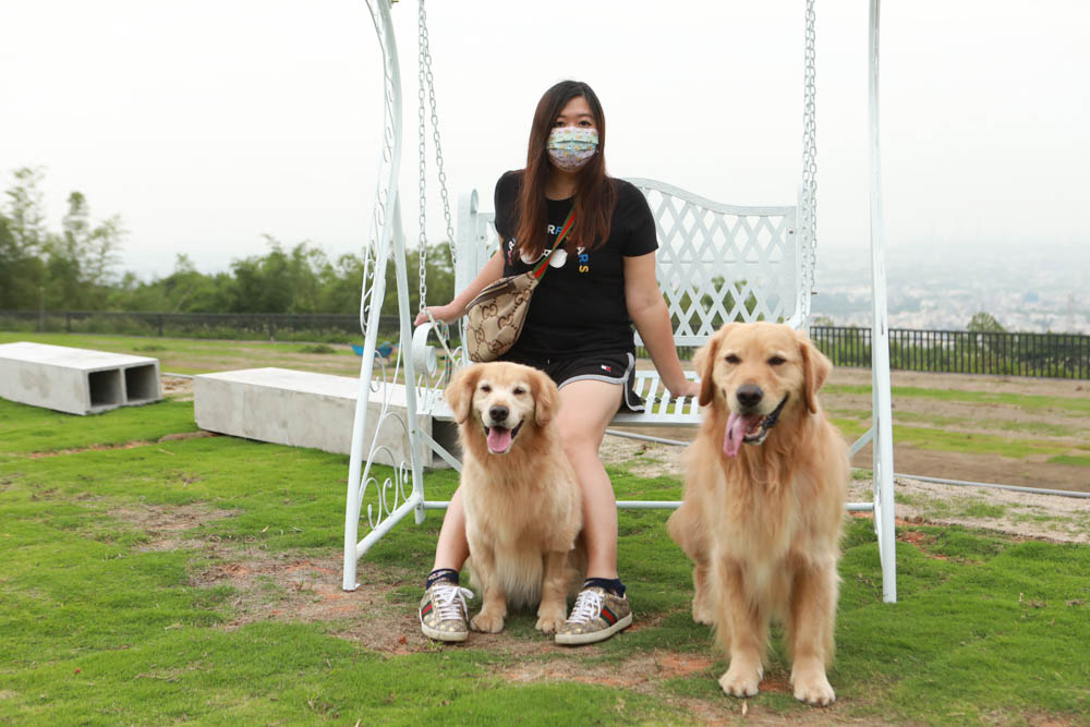 台中沙鹿美食｜鹿雅森林景觀餐廳。寵物友善餐廳、無敵百萬夜景、獨立包廂、大草皮