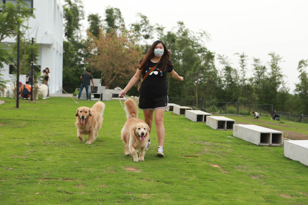 台中沙鹿美食｜鹿雅森林景觀餐廳。寵物友善餐廳、無敵百萬夜景、獨立包廂、大草皮