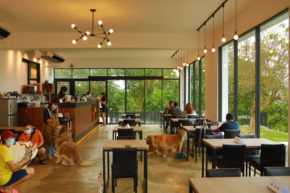 台中沙鹿美食｜鹿雅森林景觀餐廳。寵物友善餐廳、無敵百萬夜景、獨立包廂、大草皮