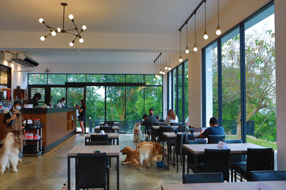 台中沙鹿美食｜鹿雅森林景觀餐廳。寵物友善餐廳、無敵百萬夜景、獨立包廂、大草皮