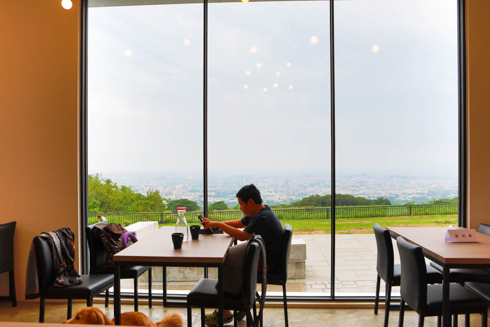 台中沙鹿美食｜鹿雅森林景觀餐廳。寵物友善餐廳、無敵百萬夜景、獨立包廂、大草皮