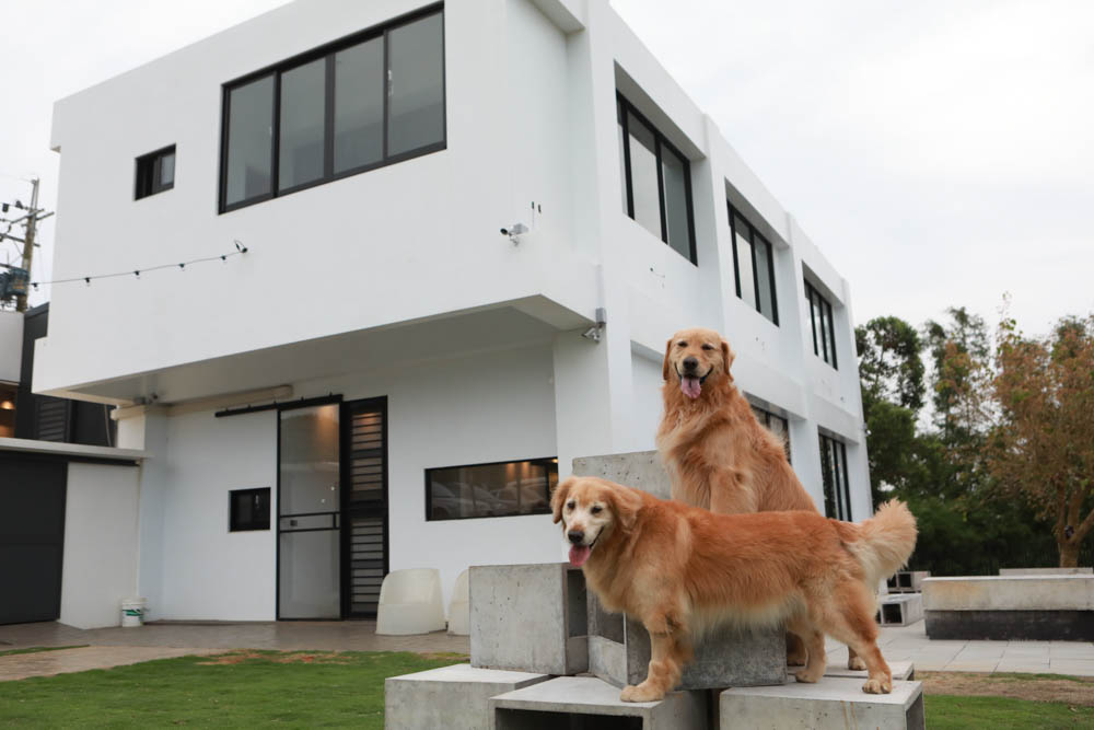 台中沙鹿美食｜鹿雅森林景觀餐廳。寵物友善餐廳、無敵百萬夜景、獨立包廂、大草皮