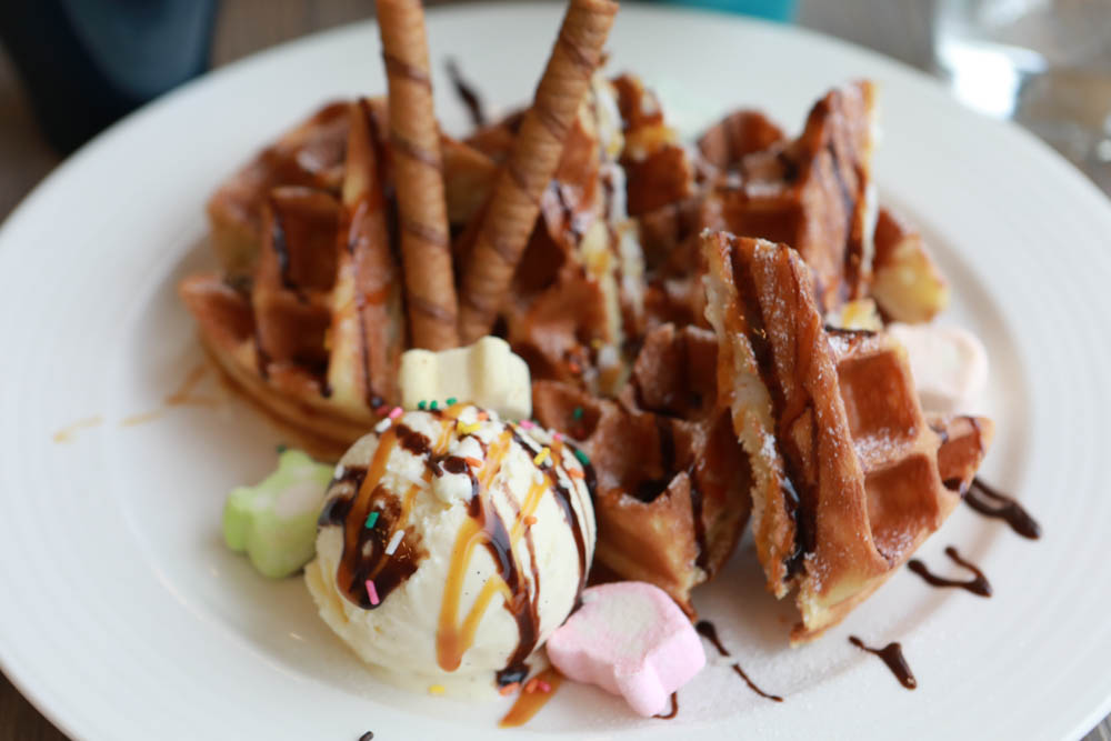 台中沙鹿美食｜鹿雅森林景觀餐廳。寵物友善餐廳、無敵百萬夜景、獨立包廂、大草皮