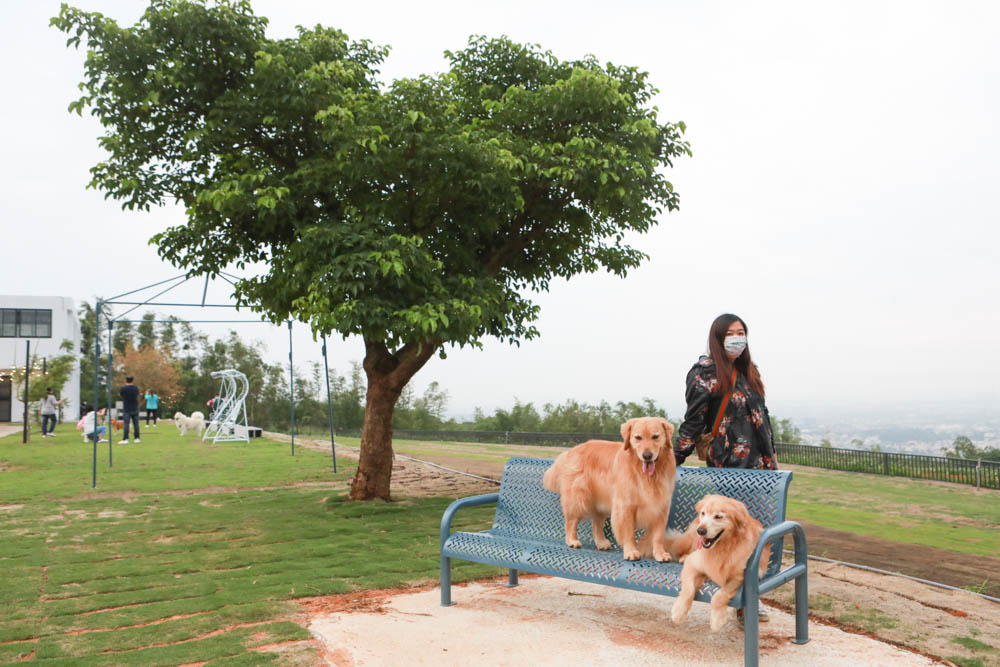 台中沙鹿美食｜鹿雅森林景觀餐廳。寵物友善餐廳、無敵百萬夜景、獨立包廂、大草皮