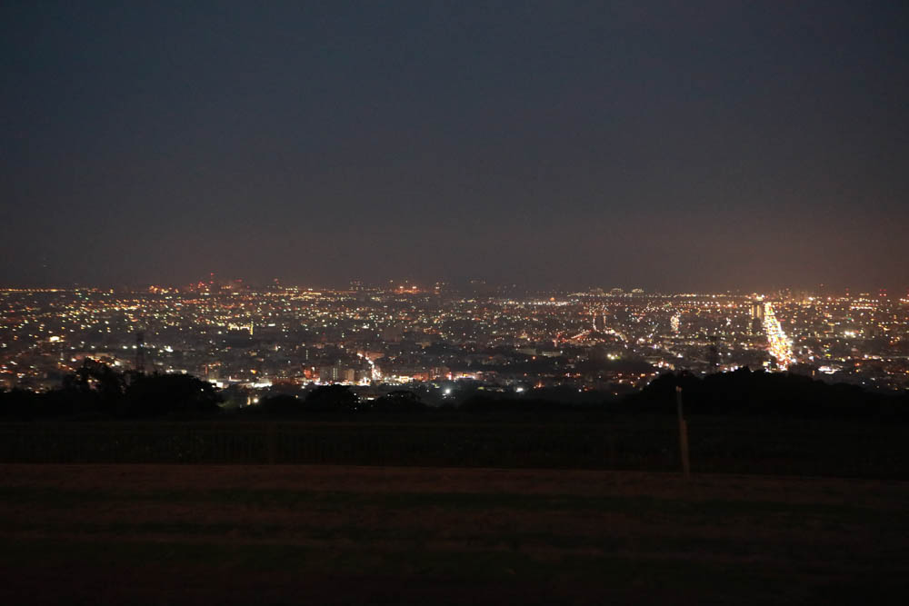 台中沙鹿美食｜鹿雅森林景觀餐廳。寵物友善餐廳、無敵百萬夜景、獨立包廂、大草皮