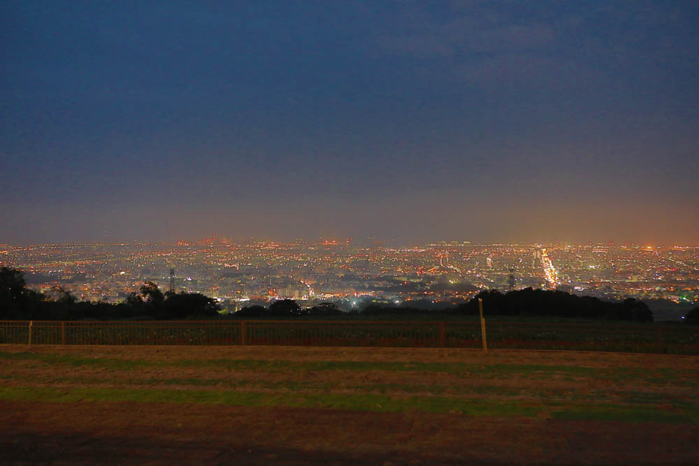 台中沙鹿美食｜鹿雅森林景觀餐廳。寵物友善餐廳、無敵百萬夜景、獨立包廂、大草皮