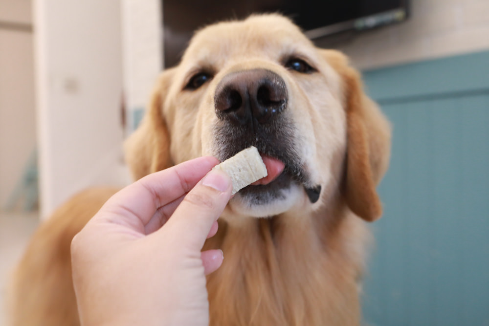 寵物｜Qchefs德國黑科技天然潔牙零食系列。日常口腔保健、咀嚼幫助控制牙垢、輕鬆潔牙、保持口腔好口氣！