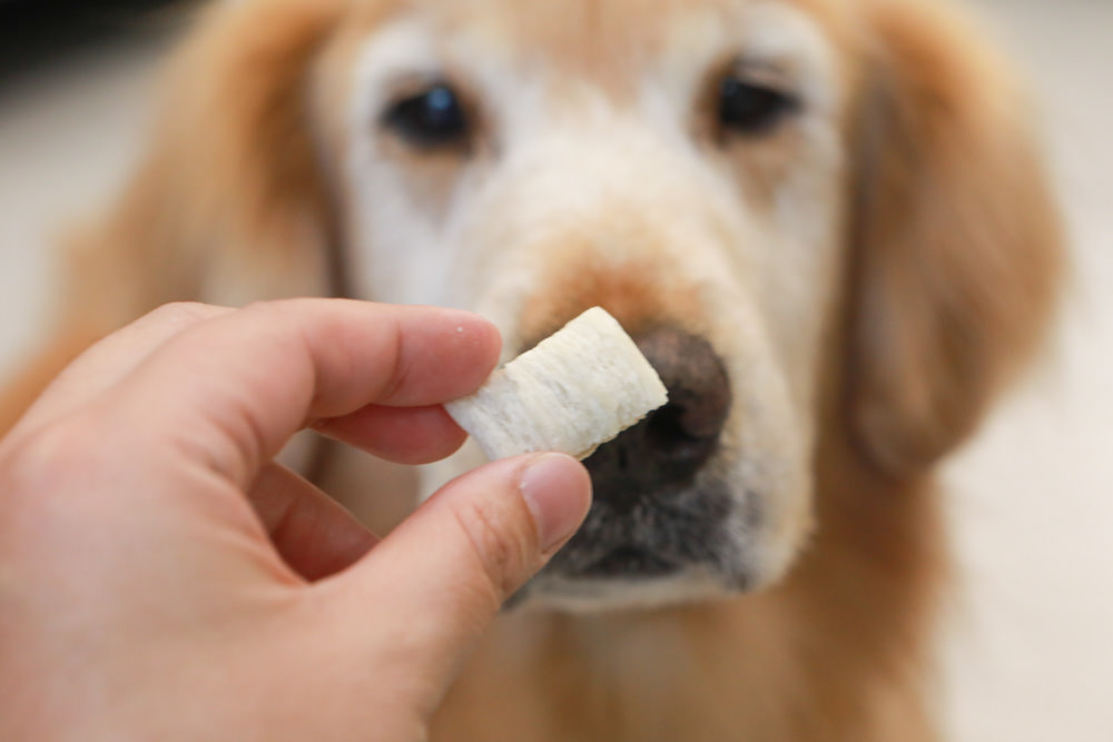 寵物｜Qchefs德國黑科技天然潔牙零食系列。日常口腔保健、咀嚼幫助控制牙垢、輕鬆潔牙、保持口腔好口氣！