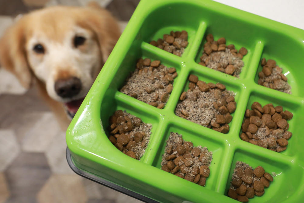 寵物｜Qchefs德國黑科技天然潔牙零食系列。日常口腔保健、咀嚼幫助控制牙垢、輕鬆潔牙、保持口腔好口氣！