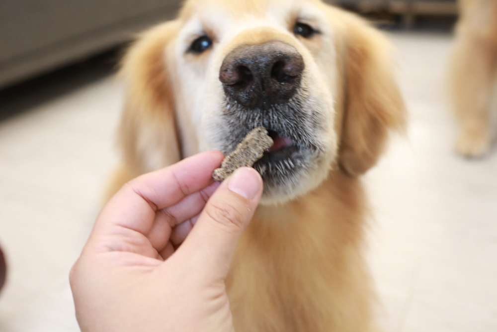 寵物｜Qchefs德國黑科技天然潔牙零食系列。日常口腔保健、咀嚼幫助控制牙垢、輕鬆潔牙、保持口腔好口氣！