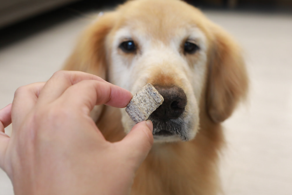 寵物｜Qchefs德國黑科技天然潔牙零食系列。日常口腔保健、咀嚼幫助控制牙垢、輕鬆潔牙、保持口腔好口氣！