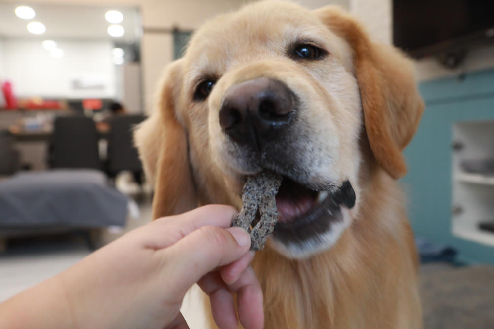 寵物｜Qchefs德國黑科技天然潔牙零食系列。日常口腔保健、咀嚼幫助控制牙垢、輕鬆潔牙、保持口腔好口氣！