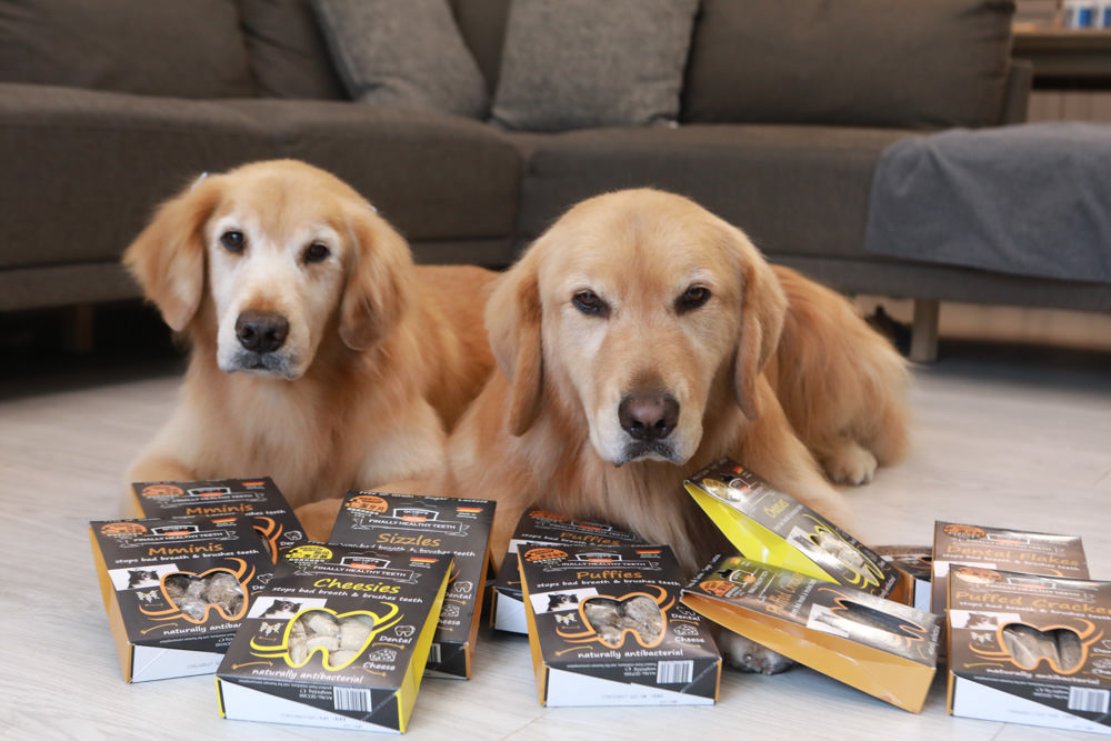 寵物｜Qchefs德國黑科技天然潔牙零食系列。日常口腔保健、咀嚼幫助控制牙垢、輕鬆潔牙、保持口腔好口氣！